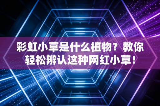 彩虹小草是什么植物？教你轻松辨认这种网红小草！