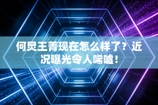 何炅王菁现在怎么样了？近况曝光令人唏嘘！