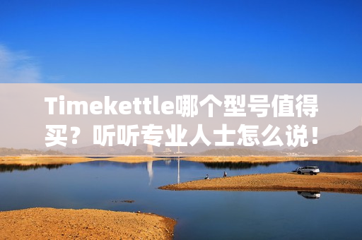 Timekettle哪个型号值得买?听听专业人士怎么说!