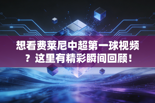想看费莱尼中超第一球视频？这里有精彩瞬间回顾！
