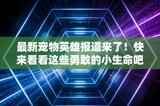 最新宠物英雄报道来了！快来看看这些勇敢的小生命吧！