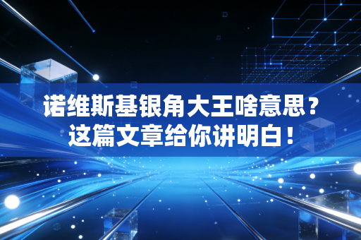 诺维斯基银角大王啥意思?这篇文章给你讲明白!