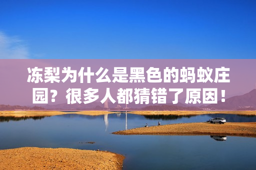 冻梨为什么是黑色的蚂蚁庄园？很多人都猜错了原因！