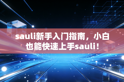 sauli新手入门指南，小白也能快速上手sauli！