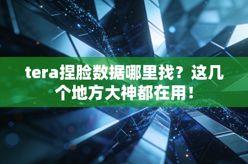 tera捏脸数据哪里找？这几个地方大神都在用！