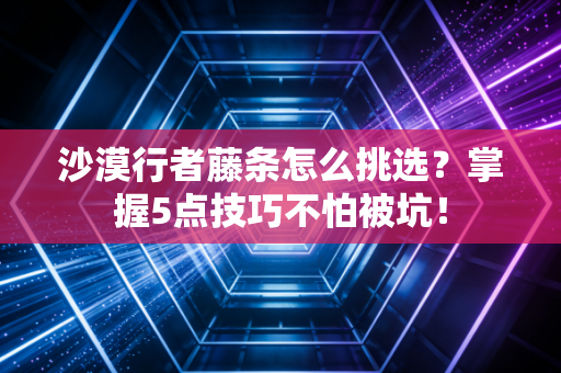 沙漠行者藤条怎么挑选？掌握5点技巧不怕被坑！