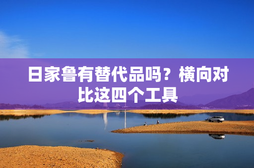 日家鲁有替代品吗？横向对比这四个工具