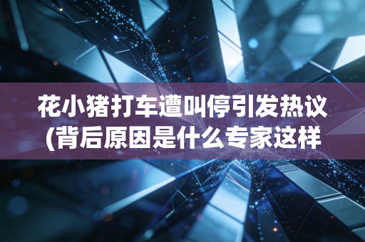 花小猪打车遭叫停引发热议(背后原因是什么专家这样说)