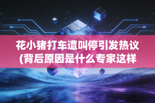 花小猪打车遭叫停引发热议(背后原因是什么专家这样说)