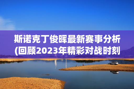 斯诺克丁俊晖最新赛事分析(回顾2023年精彩对战时刻！)