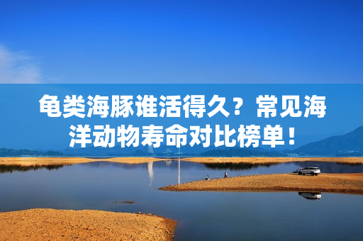 龟类海豚谁活得久?常见海洋动物寿命对比榜单!