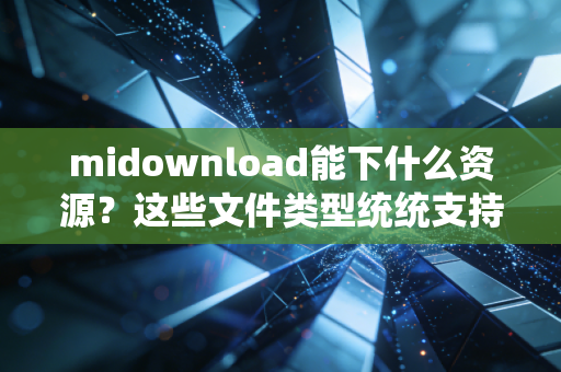 midownload能下什么资源?这些文件类型统统支持