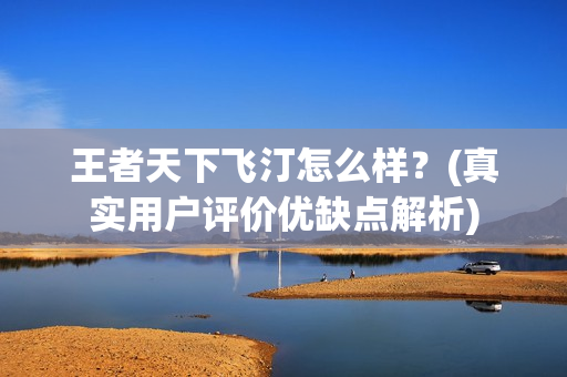王者天下飞汀怎么样?(真实用户评价优缺点解析)