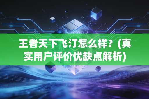 王者天下飞汀怎么样？(真实用户评价优缺点解析)