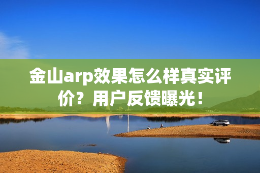 金山arp效果怎么样真实评价？用户反馈曝光！