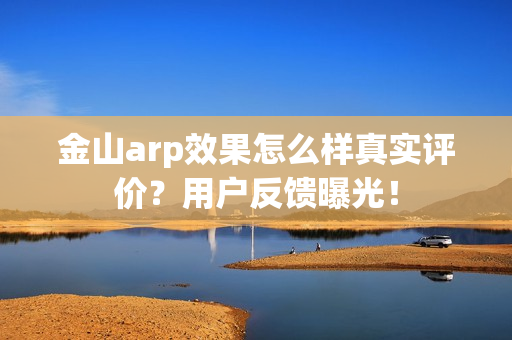 金山arp效果怎么样真实评价？用户反馈曝光！