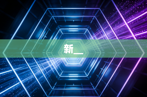 新__