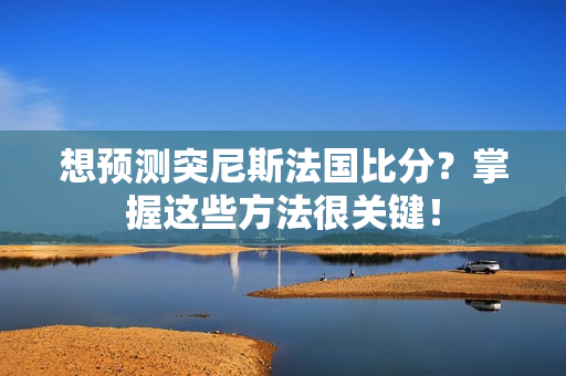 想预测突尼斯法国比分？掌握这些方法很关键！