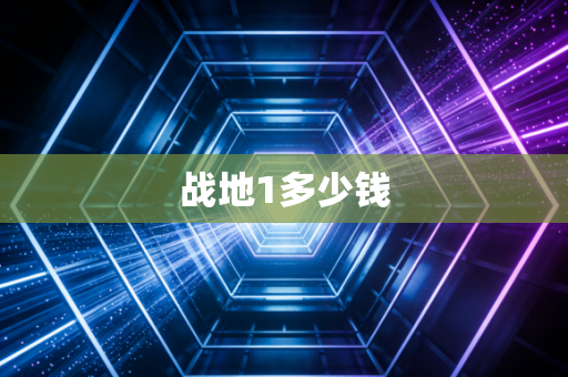 战地1多少钱