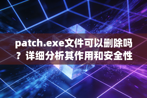 patch.exe文件可以删除吗?详细分析其作用和安全性