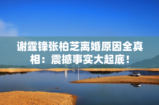 谢霆锋张柏芝离婚原因全真相：震撼事实大起底！