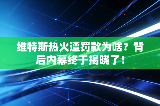 维特斯热火遭罚款为啥?背后内幕终于揭晓了!
