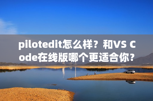 pilotedit怎么样？和VS Code在线版哪个更适合你？