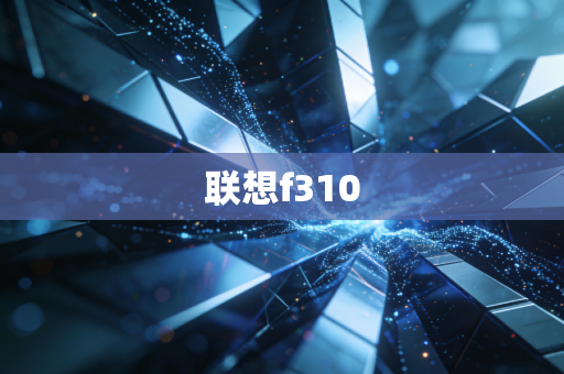联想f310