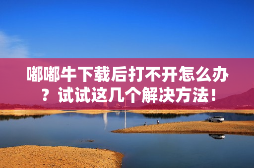 嘟嘟牛下载后打不开怎么办？试试这几个解决方法！