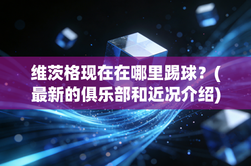 维茨格现在在哪里踢球？(最新的俱乐部和近况介绍)