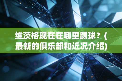 维茨格现在在哪里踢球？(最新的俱乐部和近况介绍)