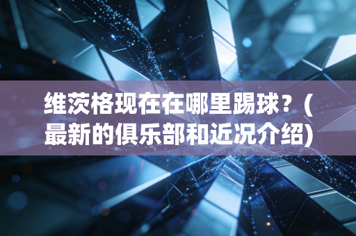 维茨格现在在哪里踢球？(最新的俱乐部和近况介绍)