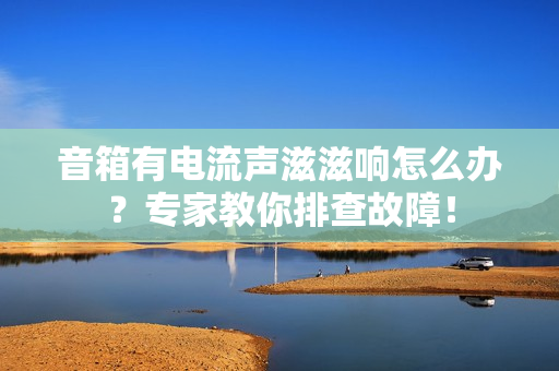 音箱有电流声滋滋响怎么办？专家教你排查故障！