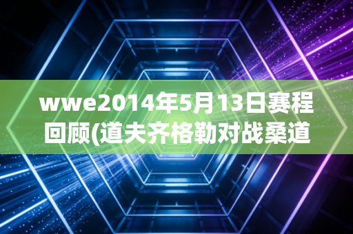 wwe2014年5月13日赛程回顾(道夫齐格勒对战桑道全场)