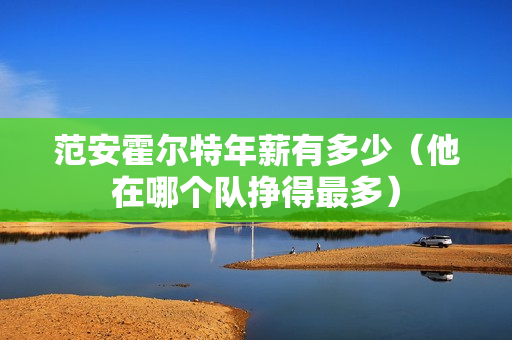 范安霍尔特年薪有多少（他在哪个队挣得最多）