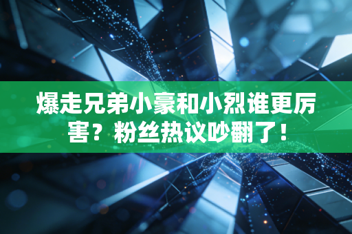 爆走兄弟小豪和小烈谁更厉害？粉丝热议吵翻了！