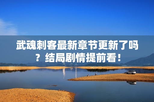 武魂刺客最新章节更新了吗？结局剧情提前看！