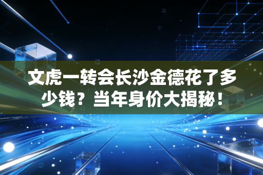 文虎一转会长沙金德花了多少钱？当年身价大揭秘！
