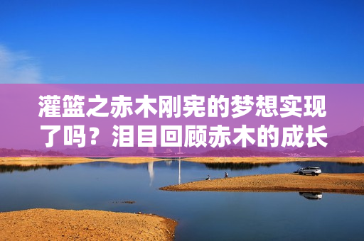 灌篮之赤木刚宪的梦想实现了吗？泪目回顾赤木的成长之路！