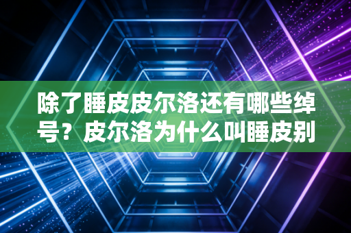 除了睡皮皮尔洛还有哪些绰号?皮尔洛为什么叫睡皮别再猜了!