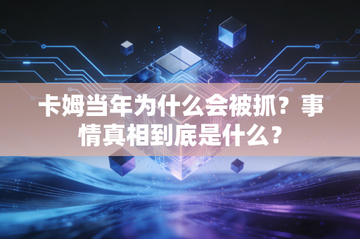 卡姆当年为什么会被抓？事情真相到底是什么？