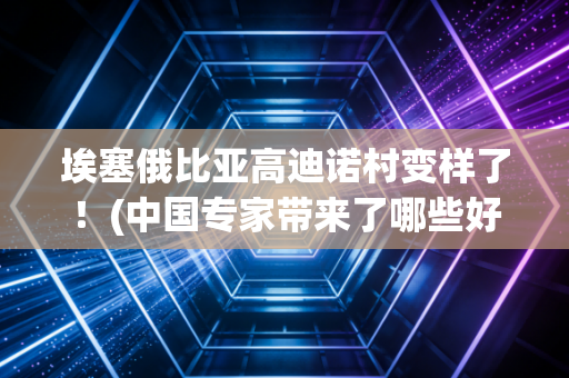 埃塞俄比亚高迪诺村变样了！(中国专家带来了哪些好技术)