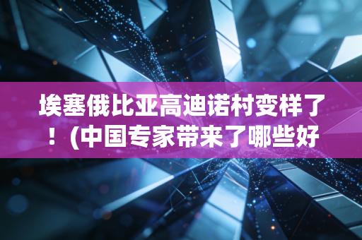 埃塞俄比亚高迪诺村变样了！(中国专家带来了哪些好技术)