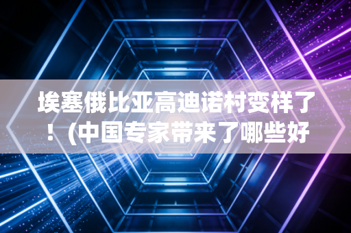 埃塞俄比亚高迪诺村变样了！(中国专家带来了哪些好技术)