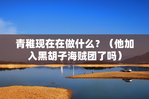 青稚现在在做什么？（他加入黑胡子海贼团了吗）