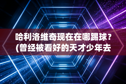 哈利洛维奇现在在哪踢球？(曾经被看好的天才少年去哪了)