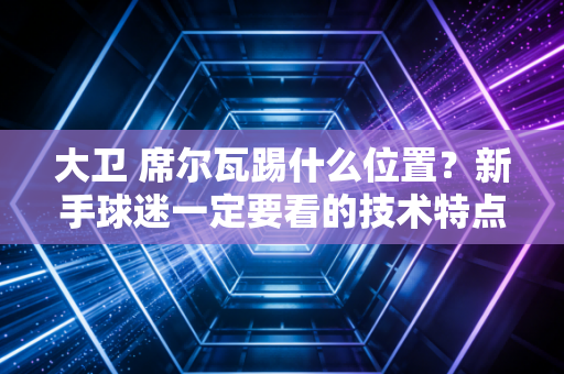 大卫 席尔瓦踢什么位置？新手球迷一定要看的技术特点详解！