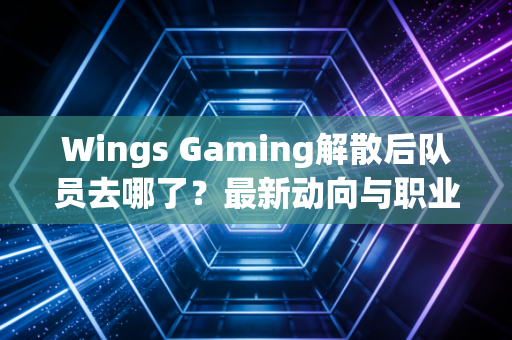 Wings Gaming解散后队员去哪了？最新动向与职业生涯