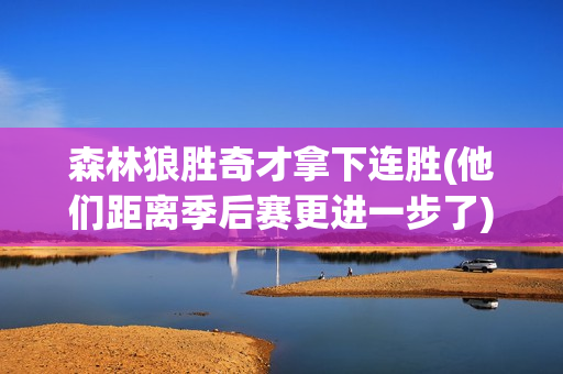 森林狼胜奇才拿下连胜(他们距离季后赛更进一步了)