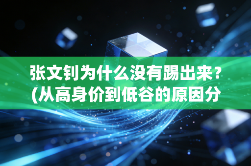 张文钊为什么没有踢出来？(从高身价到低谷的原因分析)